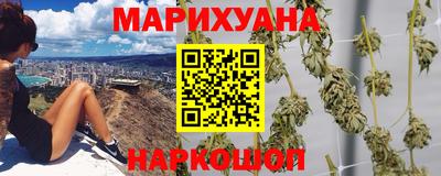 шишки Канаш
