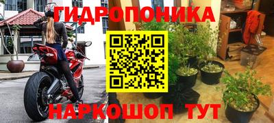 мяу мяу мука Камышлов