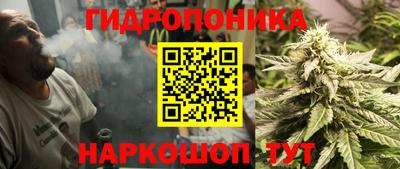 мяу мяу мука Камышлов