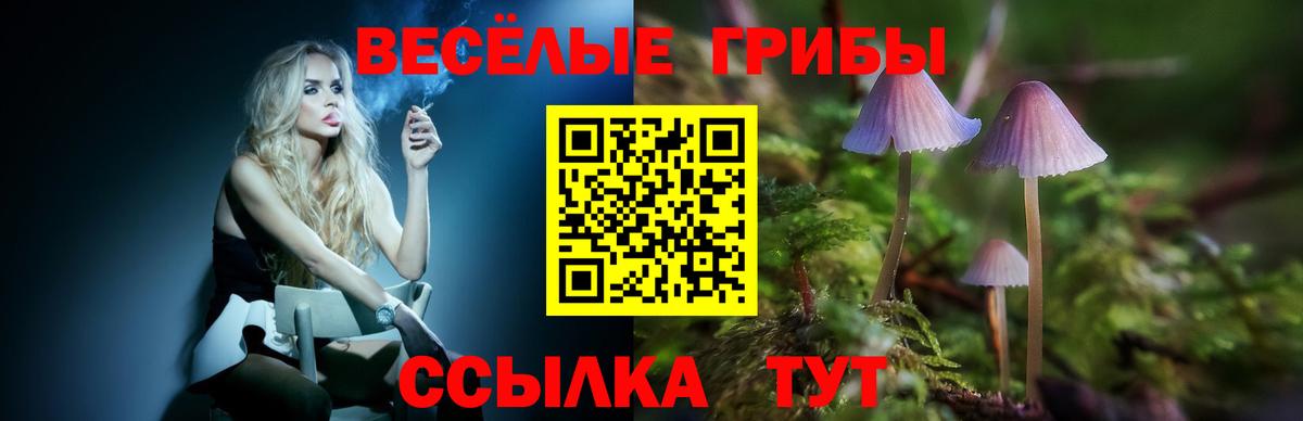 Саяногорск  Галлюциногенные грибы Magic Shrooms  Вход с VPN 